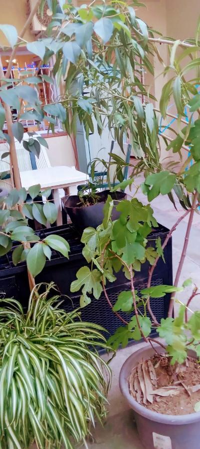 Joli Studio Avec Jardin Espira-de-l'Agly Bagian luar foto